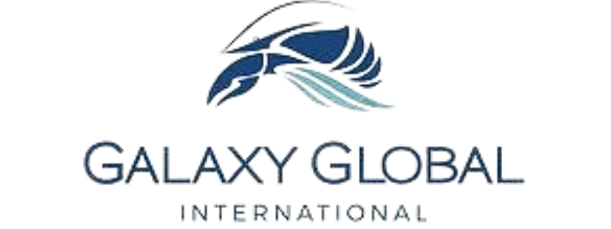 Galaxy Global International LLC logo
