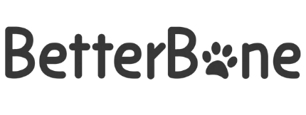 BetterBone logo