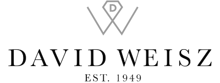 David Weisz logo