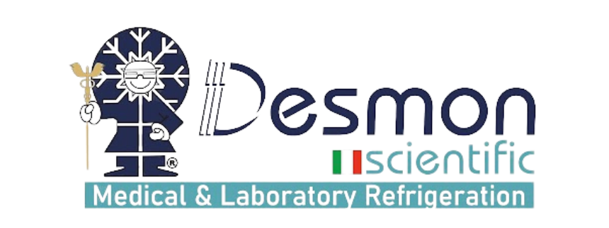 Desmon SpA logo
