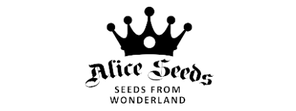 Alice Seeds logo