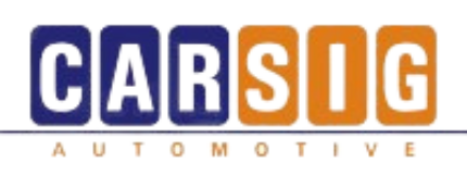 CARSIG GmbH logo