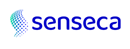 Senseca Italy Srl logo