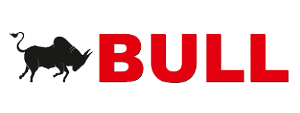 Bull Machines pvt ltd. logo