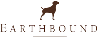 Earthbound logo