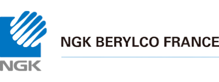 NGK Berylco logo