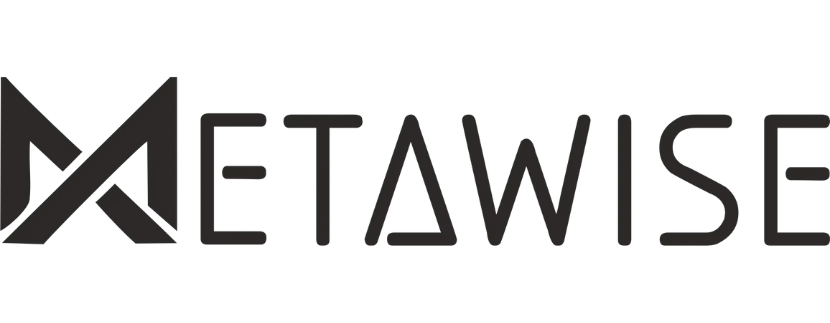 MetaWise logo