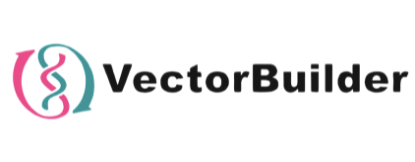 VectorBuilder logo